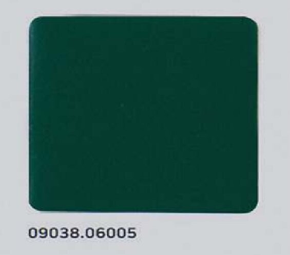 RAL 6005